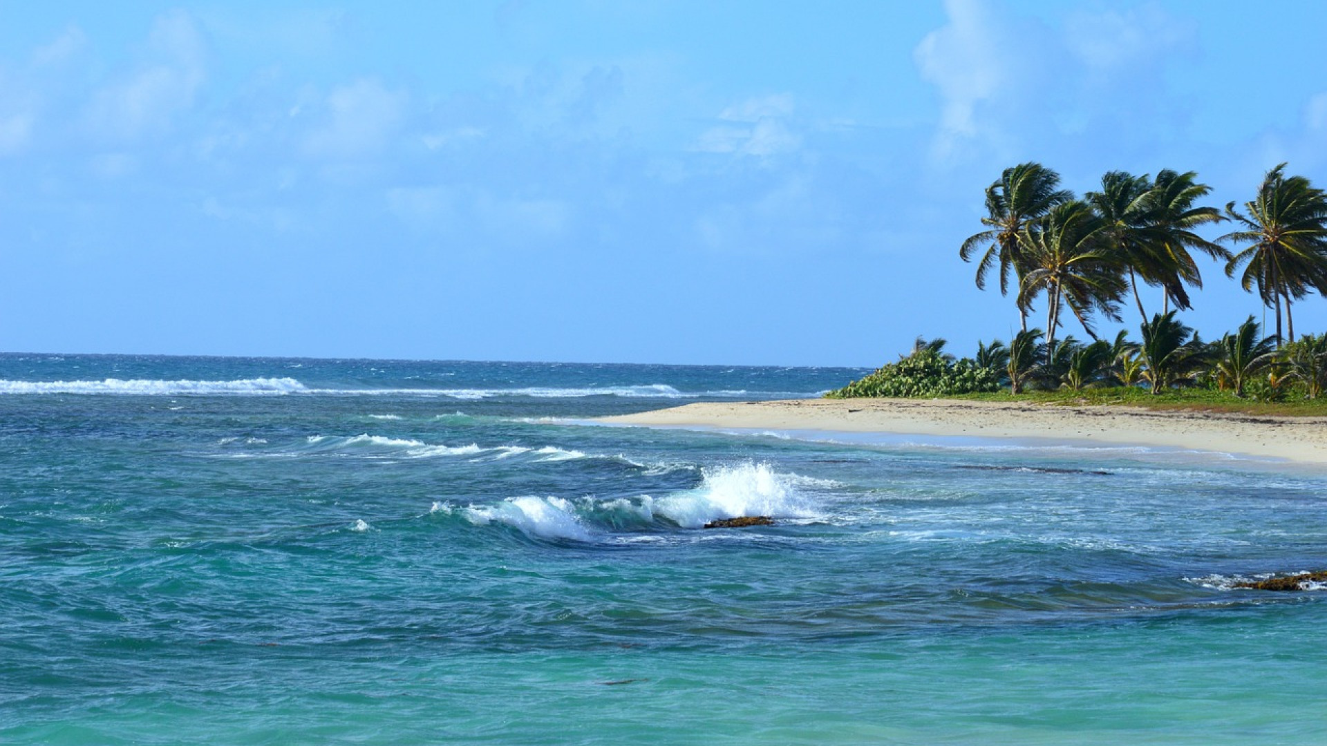 Eco-tourisme en Guadeloupe : pourquoi choisir un voyage responsable ?