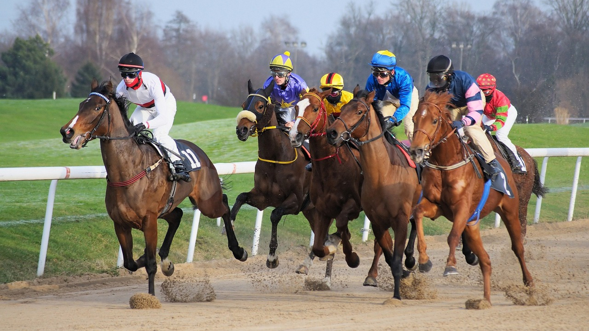 Comment choisir son site de paris sportif hors ARJEL ?