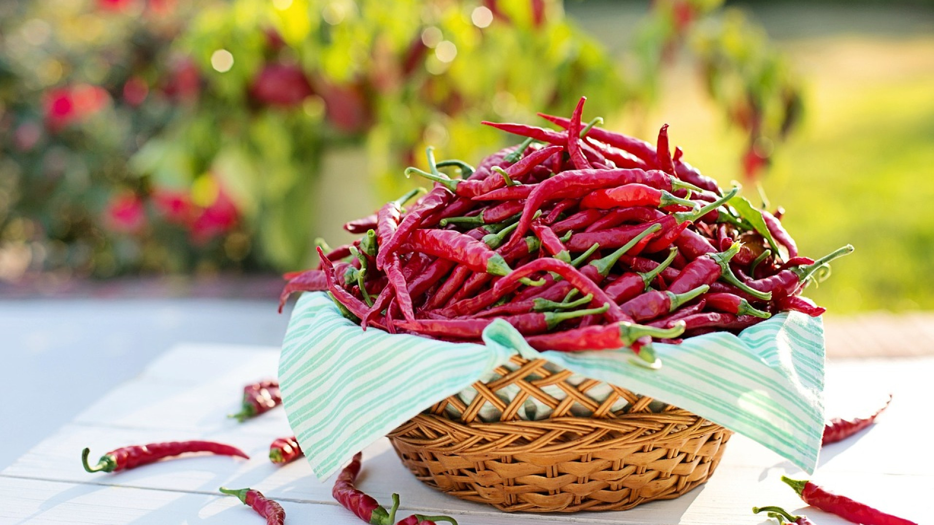 Le piment carolina reaper : l’épice la plus piquante du monde !