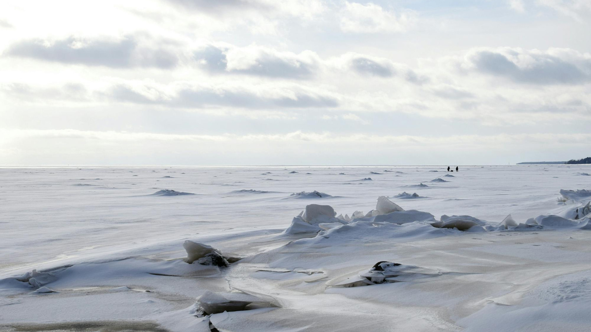 L'Antarctique en croisière : le voyage d'une vie, entre émerveillement et responsabilité